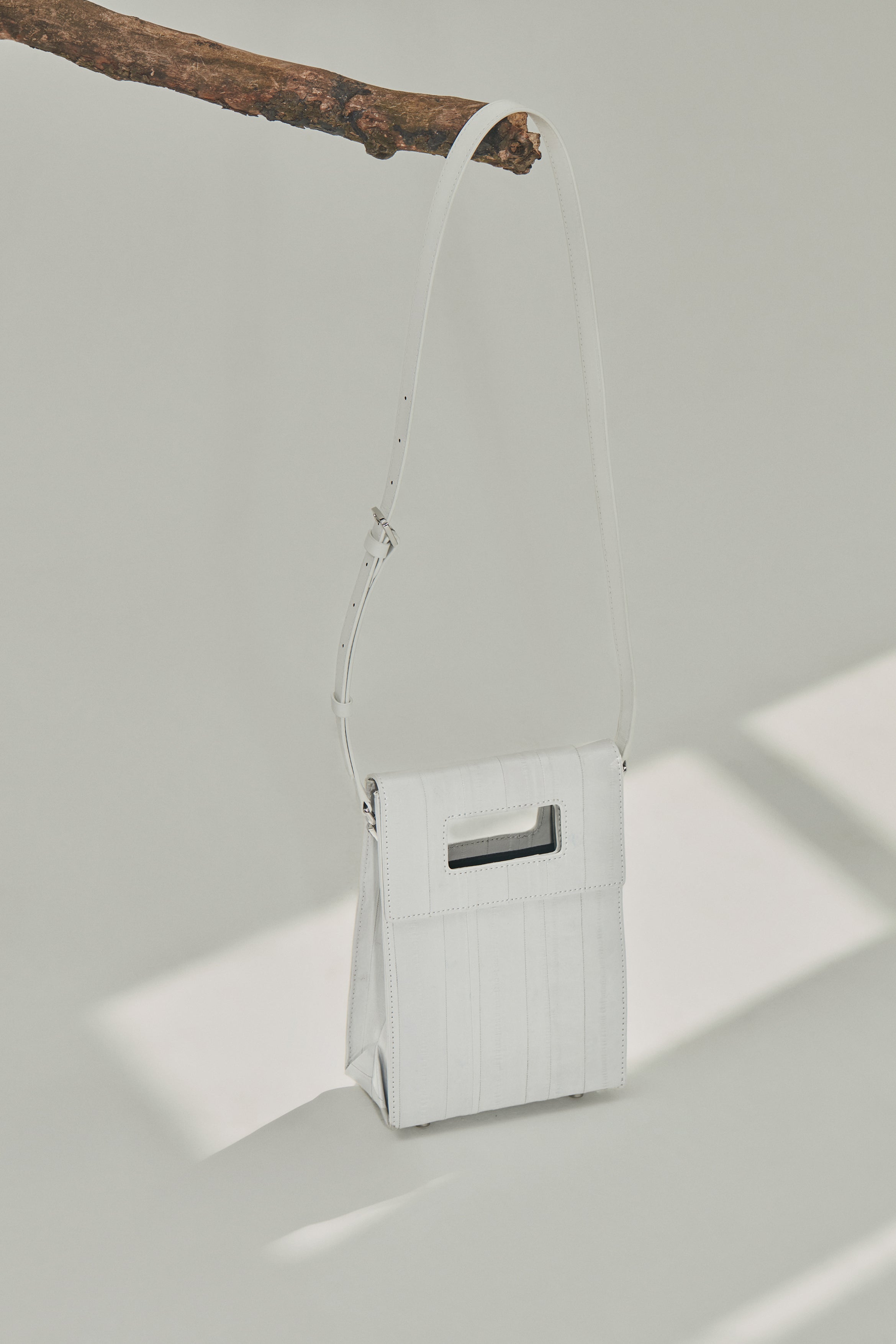 GABRÍEL IN ARCTIC WHITE EEL