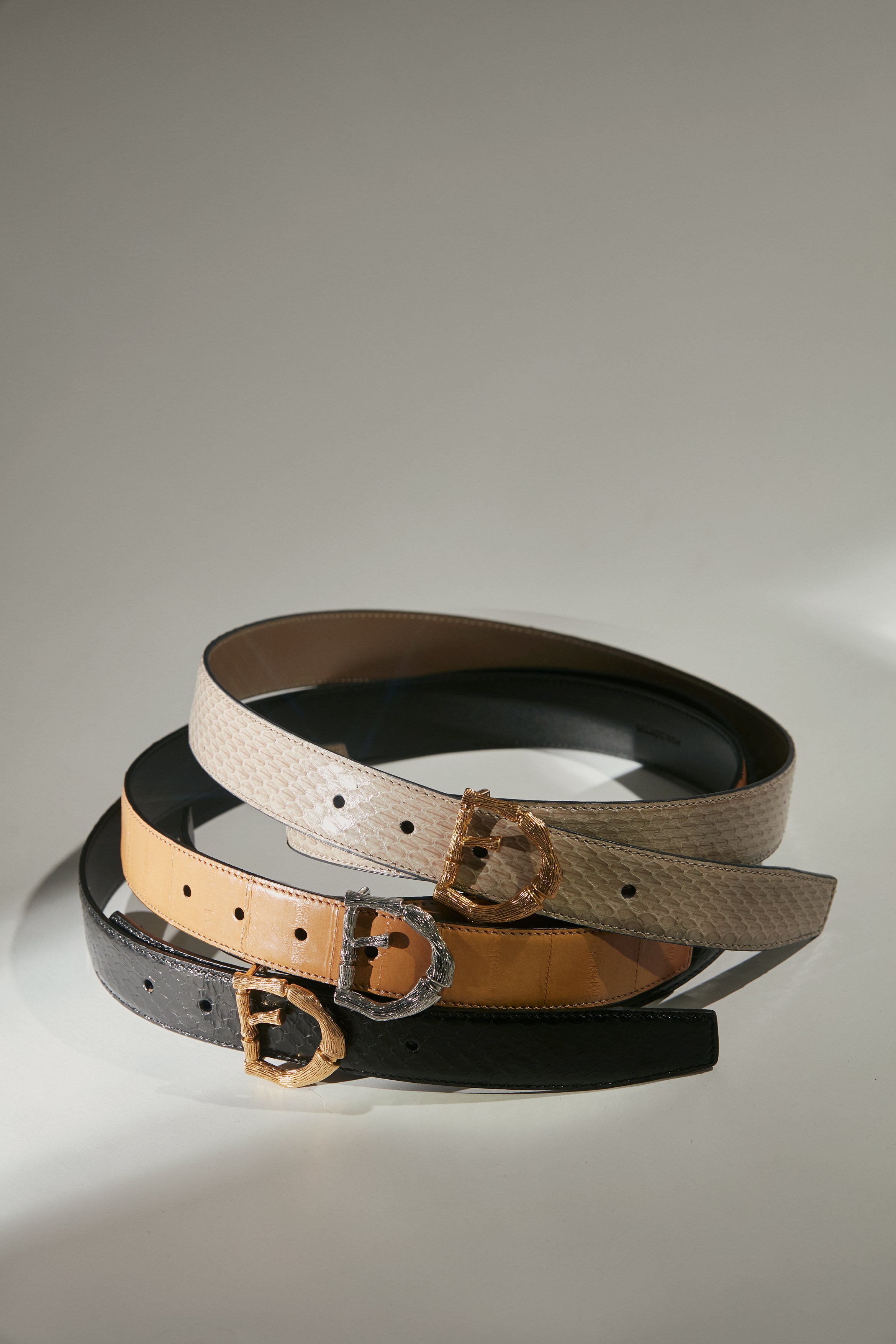 POLARIS IN SHINY BLACK WATER SNAKE