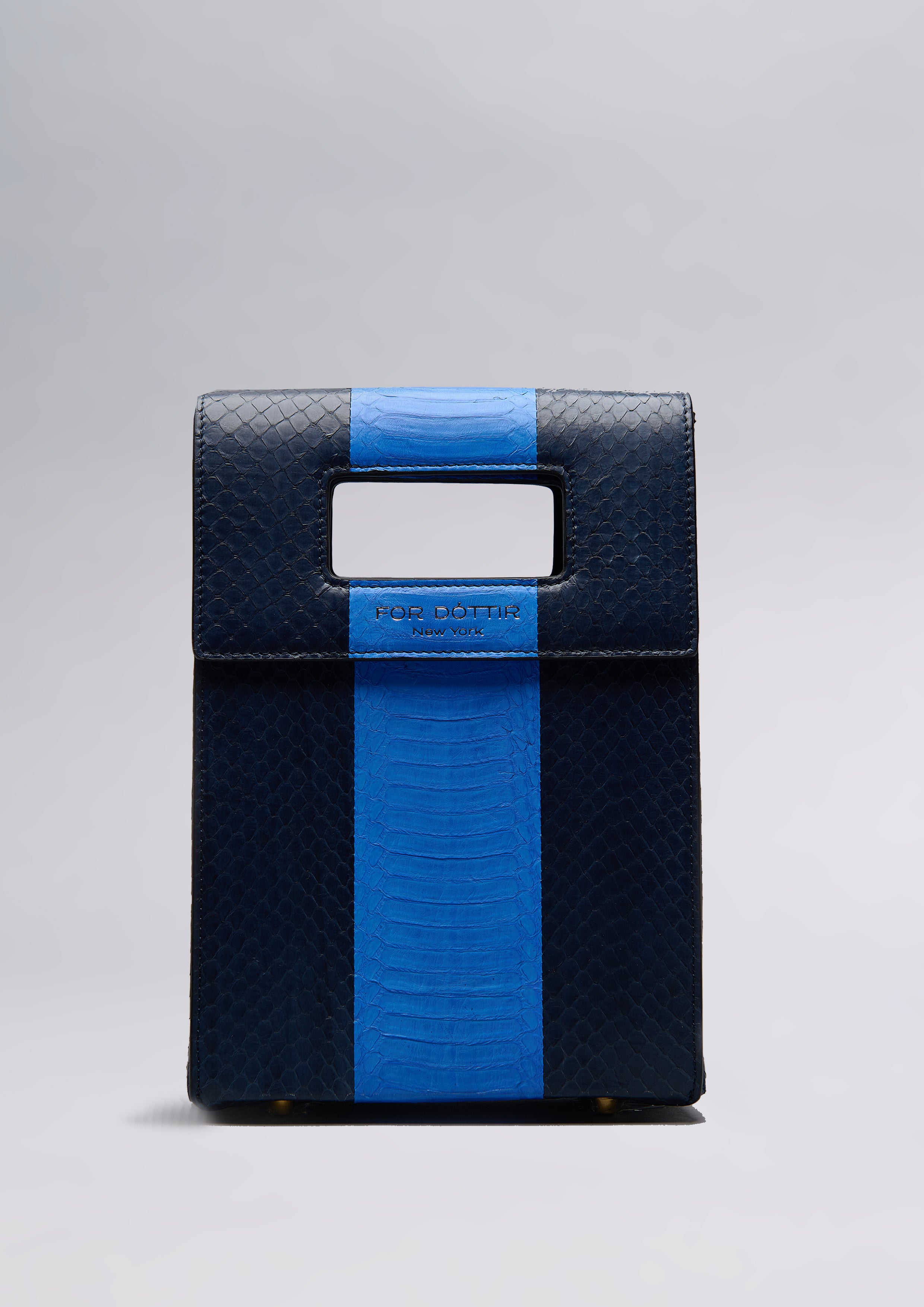 GABRÍEL IN LAKE/BLUE PATCHING WHIP SNAKE