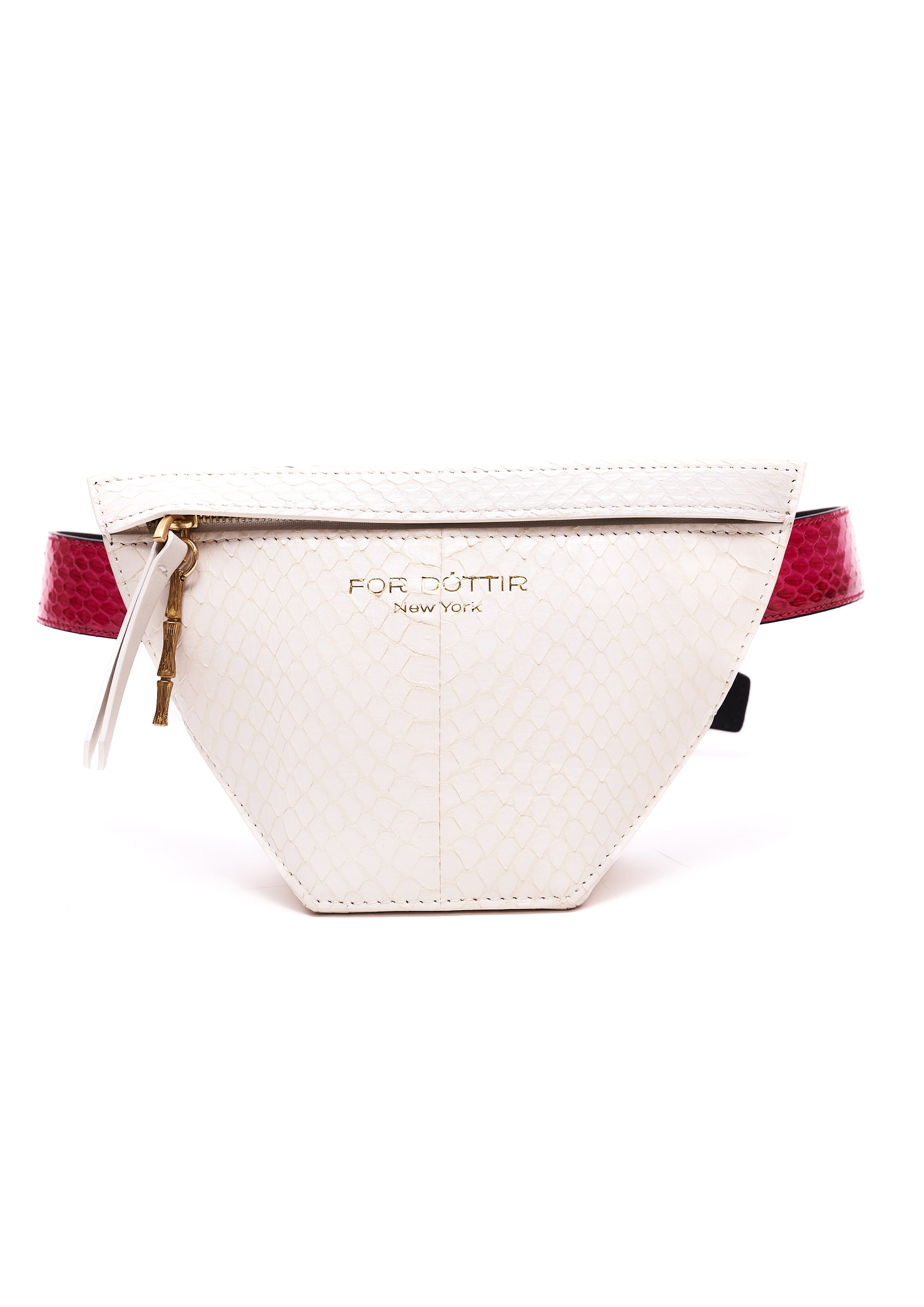 AURORA IN ARCTIC WHITE WATER SNAKE