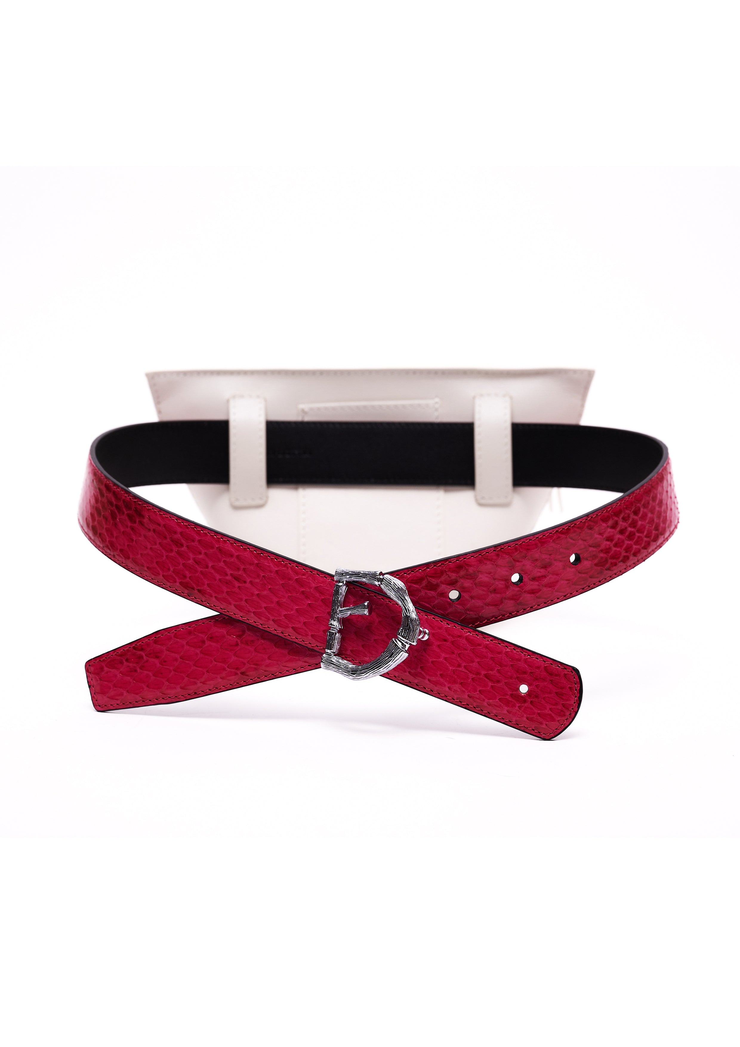 AURORA IN ARCTIC WHITE WATER SNAKE