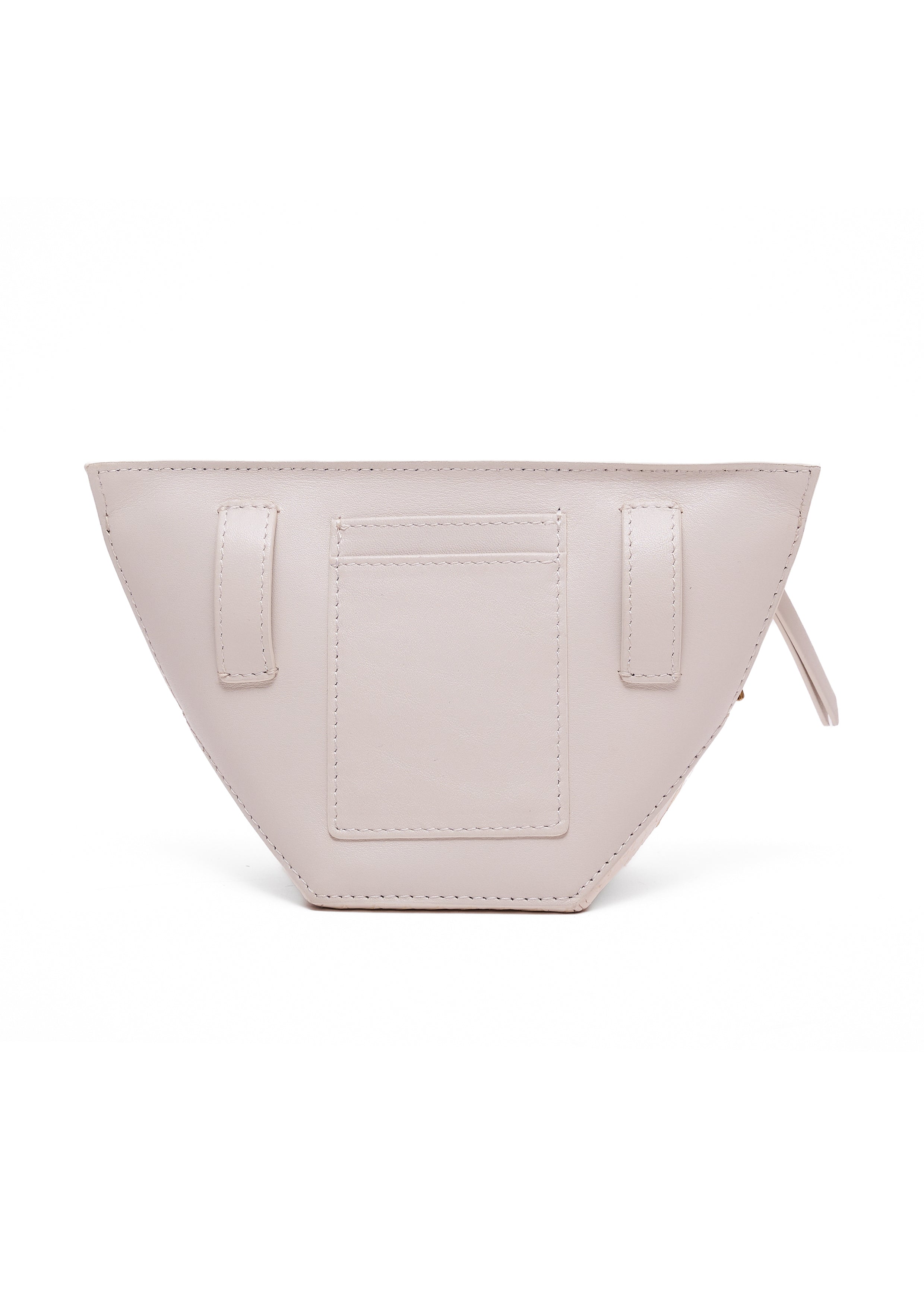 AURORA IN ARCTIC WHITE WATER SNAKE