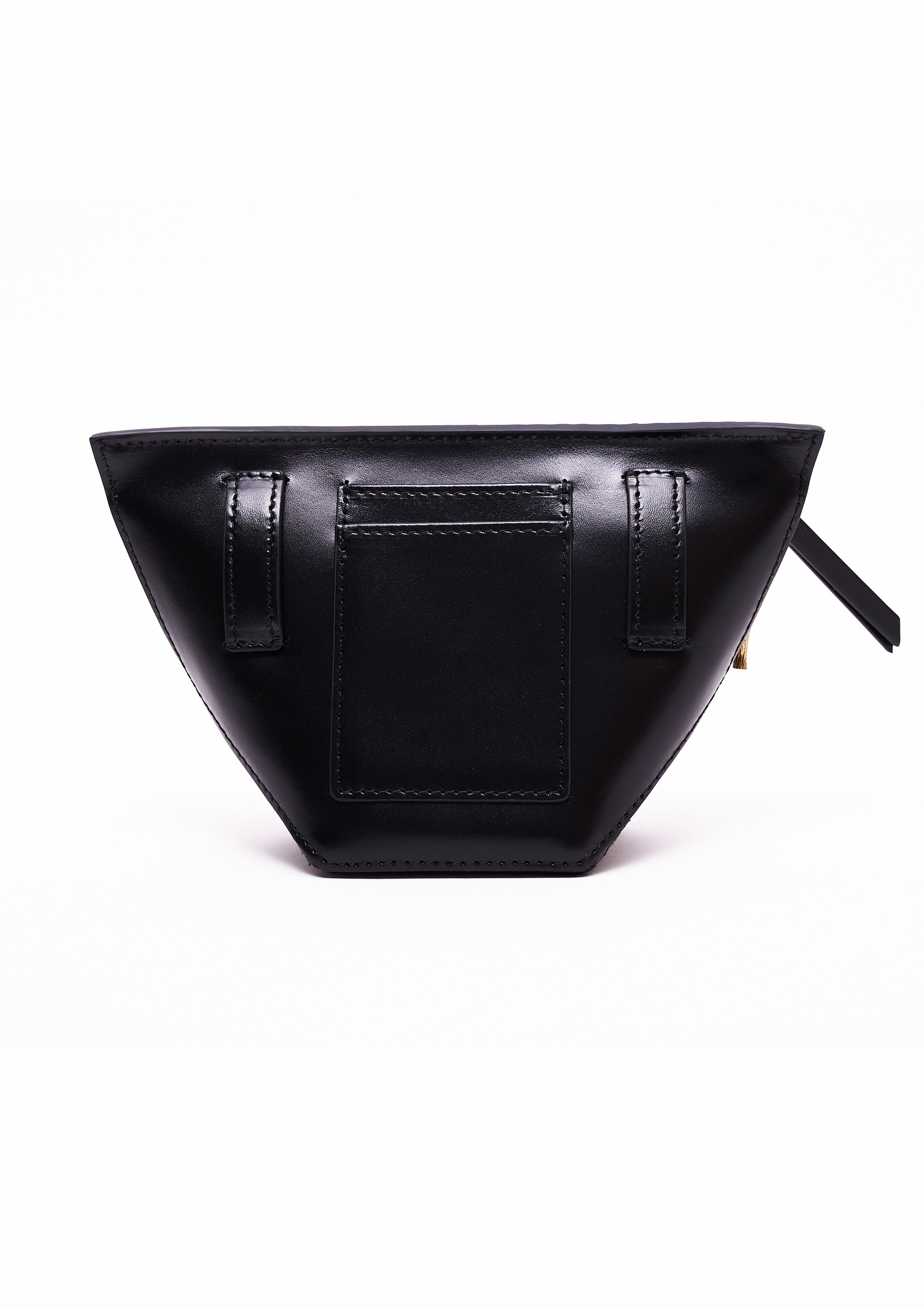 AURORA IN SHINY BLACK WATER SNAKE